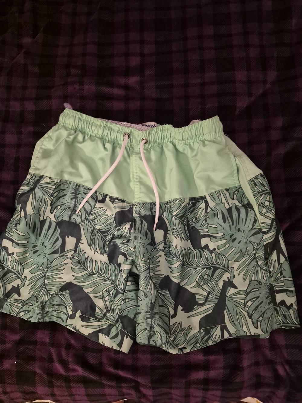 TRUNK Boys Swim Trunks Green With Palm Trees